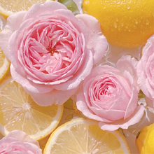 Laden Sie das Bild in den Galerie-Viewer, HOUSE OF THÊOM – Rosy Whisper

