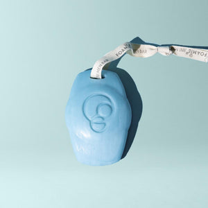 FOAMIE® 3 in 1 Feste Duschpflege für Männer mit Wasserminze